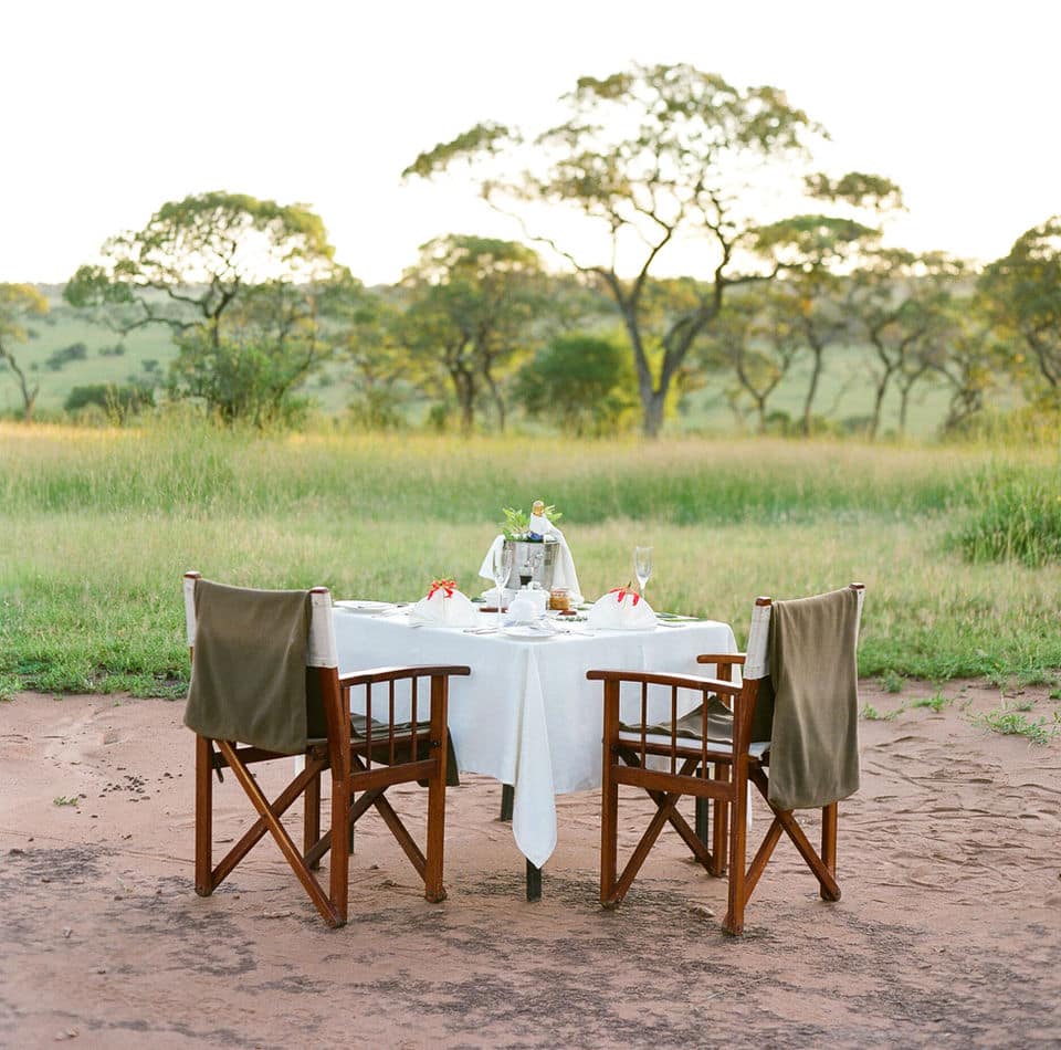 Sundowner in the bush
